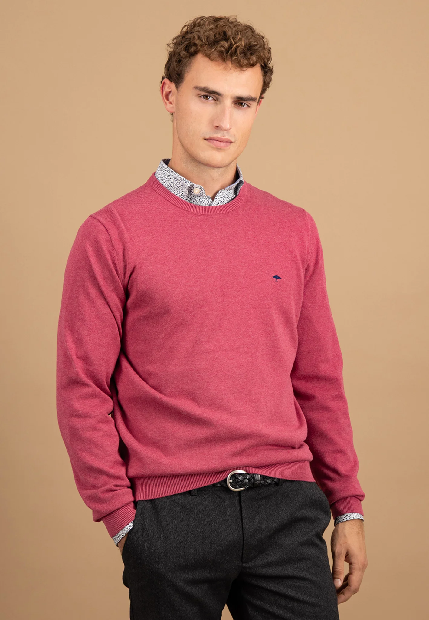 Feinstrickpullover aus Baumwolle mit Rundhalsausschnitt - Image 19