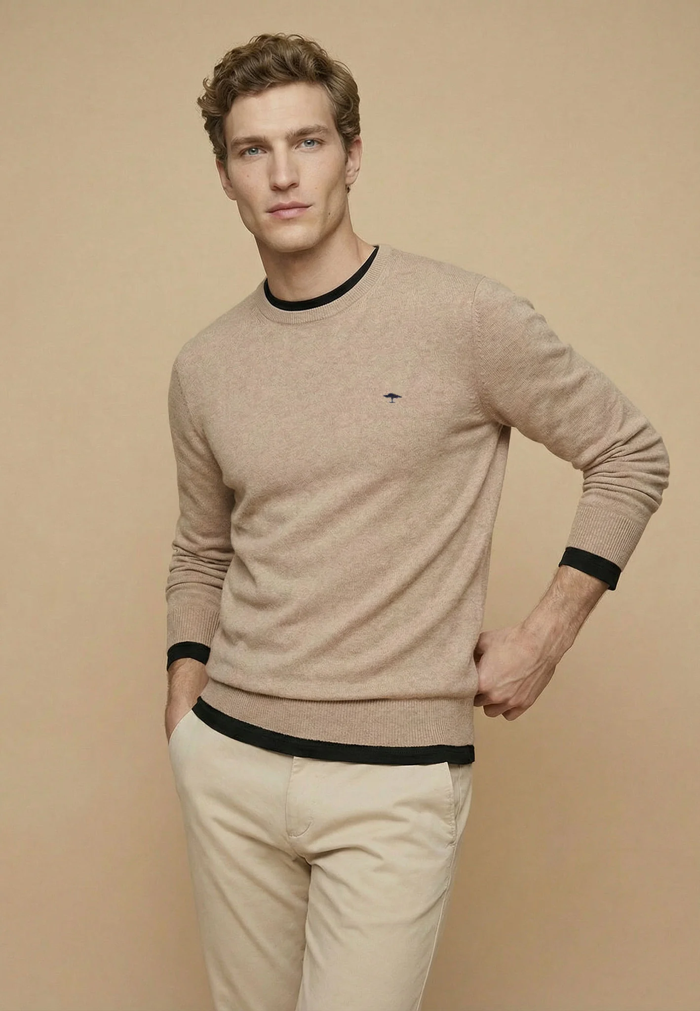 Feinstrickpullover aus reiner Baumwolle mit Rundhalsausschnitt