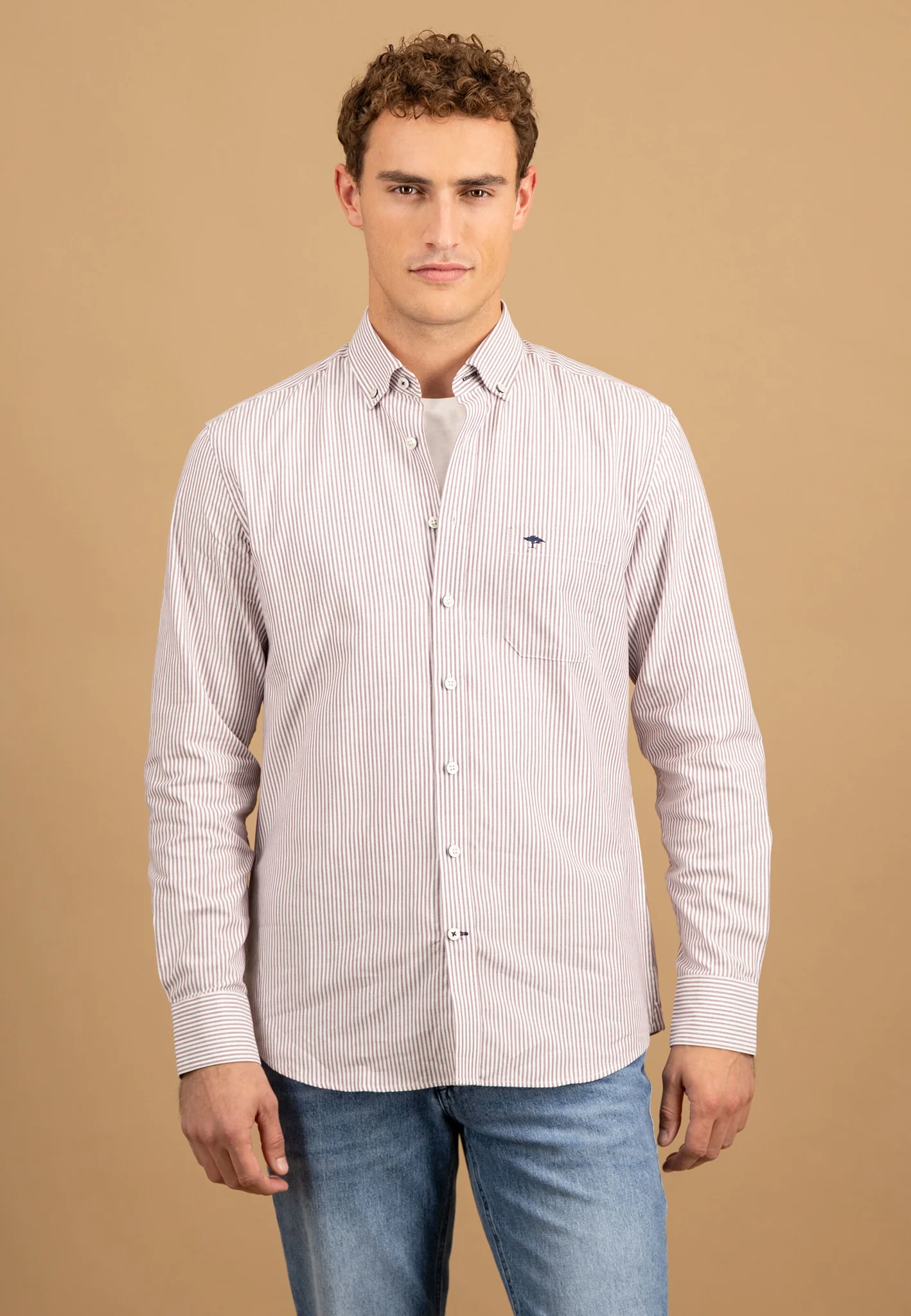Oxfordhemd aus Baumwolle mit Streifenmuster und Button-Down-Kragen
