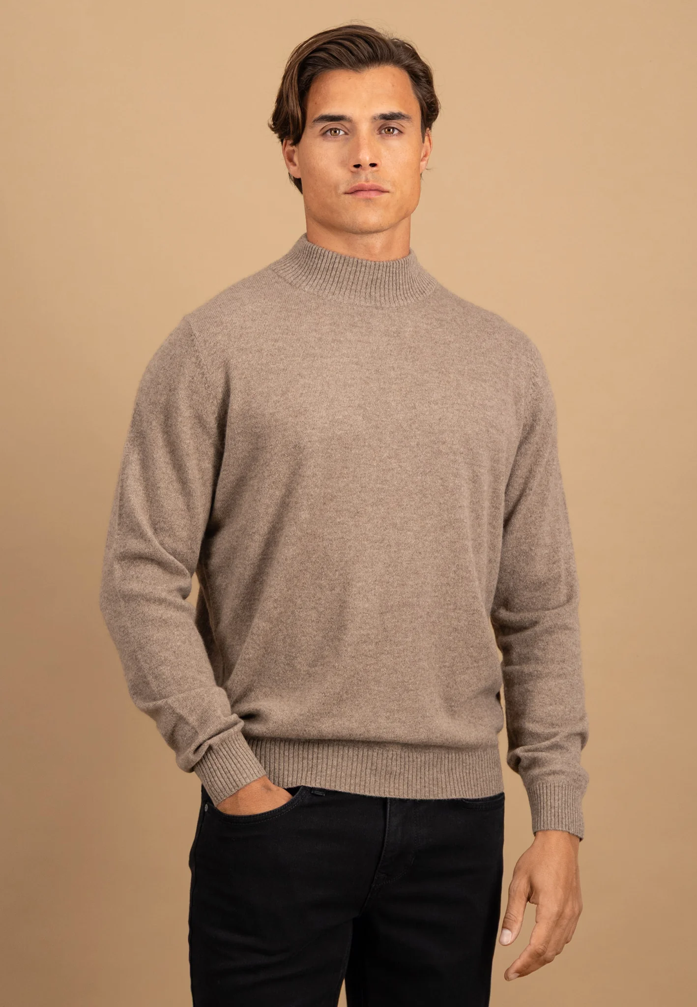 Pullover aus reinem Kaschmir mit Stehbundkragen